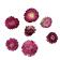 ドライフラワー フラワーアレンジメント 花材 花資材 ヘリクリサム ヘッド ピンク（約10g） ハーバリウム リース スワッグ 関連画像_1