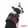 犬 ハーネス PUPPIA ベスト型ソフトベストハーネス XXL（中型犬用）パピア paha-ah305 胴輪 柴犬 コーギー ビーグル ボーダーコリー 関連画像_3