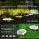 LEDアドヴァンス ４台セット 32LED ソーラー 光センサー 夜間自動点灯 埋め込み式 防水 ライト 防犯 庭 芝生 4-LEADVAN 関連画像_2