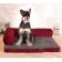 熱い! 2020新しいペット ペットベッド 犬ベッド 猫犬用ベッド 製品テディ 犬ベッド ソフトペット 猫犬小屋 型犬ソファベッド ギフト毛布  ペットハウス 関連画像_2