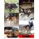 犬 ハーネス ベスト ペット ロック機能 付 服  胴輪 キャット ドッグ メッシュ ドッグウェア 小型犬 大型犬 中型犬 関連画像_5