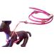 【セット】革 犬 胴輪(ハーネス) リード 牛本革Softハーネス+超小型〜小型犬用+■送料無料■