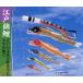 【送料、代引き手数料無料】鯉のぼり江戸錦鯉 6m　5色セット