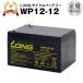 Smart-UPS 1000 など対応、WP12-12 保証付 LONG製 サイクルバッテリー （産業用鉛蓄電池）