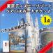 東京ディズニー ランド or シー ペア パスポート チケット　景品 目録 セット ( 特大 A3パネル付き！)