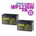 UPS（無停電電源装置）用LONGシールドバッテリー WP1236W 12V9Ah 2個セット 180日保証付 新品