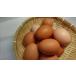 庭鶏の卵4ケース24個