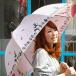 傘 雨傘 ブレーメンの音楽隊◆FLAPPER：ブレーメンの音楽隊アンブレラ