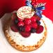 クリスマスケーキ 人気 予約 木苺のホワイトXmasケーキ 16cm【限定30台】