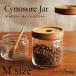 ChaBatree（チャバツリー）Cynosure Jar（サイノシュアジャー）Mサイズ 500cc