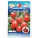 アマルフィの誘惑　パイオニハエコサイエンスの中玉トマト品種です。マウロの地中海トマト