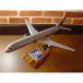 1/100  B757-300 ボーイング ユナイテッド航空 旧塗装 旅客機 ソリッドモデル 木製模型