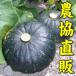 （北海道　いわみざわ産）　かぼちゃ　(5〜6玉入) 10kg　2,980円　産地直送　送料無料