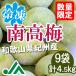 冷凍南高梅(梅酒・梅ジュース用)冷凍梅　500ｇ　9袋