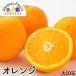 【送料無料￥1,480】アメリカ産ネーブルオレンジ小玉10個