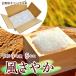 風さやか 5kg 長野県で誕生したばかりの新品種 長野県オリジナル米