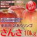 さんさ 10kg 送料無料 長野県産 家庭用訳あり 早生りんご  8月20日以降開始予定