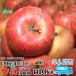 CA貯蔵 光センサー選果 糖度１３度以上 長野県産 りんご サンふじ Ｃランク（家庭用） 10kg （24玉〜40玉） 訳あり（キズ・色ムラなど）送料無料