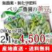 新潟県産 朝獲り茶豆 2.1kg（300g×7袋） ベリー農園  8月中旬頃〜9月中旬頃まで