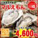 【送料無料】厚岸町からプリップリの牡蠣をお届け！北海道厚岸産殻付牡蠣（マルえもん） / LLサイズ / １０個入