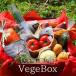 野菜セット 野菜のギフト VegeBox[ベジボックス] 九州畑の贈り物♪九州産の新鮮野菜を贈り物に