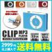 DT-SP19 | MP3プレーヤー WMA対応 服やバッグに取り付けできるクリップ式 PCから直接転送できるUSBケーブル付属