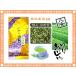 特上白折茶 （ 茎茶 ）（ 100g ） 八女茶 福岡県 - 日本茶 - 厳選の緑茶 送料無料