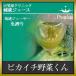 冷凍青汁 (１ヶ月分１００ｃｃ×３０ｐ)（青汁）(無農薬栽培)(酵素イキイキ)(朝採りの生搾り)