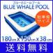 ビニールプール 子供用 大型 長方形 家庭用プール 駐車場サイズ ブルーホエールプール BLUE WHALE POOL