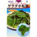 サラダ小松菜 (小松菜の種) 7ml