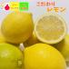 スッキリさっぱり国産グリーンレモン 約２ｋｇ(減農薬)(送料無料)