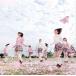 【在庫あり!即日出荷!】AKB48【特典生写真付き】桜の木になろう(初回限定盤Type-A)(DVD付) [CD+DVD]《キャンセル不可!》