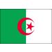 【送料無料】　アルジェリア国旗セット・高級アルミ合金パーツ付き