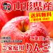 (10月上旬よりお届け開始 早期予約)サンふじリンゴ約5kg(18玉前後）送料無料！りんご・林檎