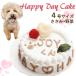 犬 誕生日 ケーキ 人気 バースデー  お野菜とささみで出来た４号12センチ HAPPY DAY Cake
