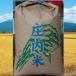 つや姫30ｋｇ玄米　平成25年度産新米　山形県庄内産　産地限定　特別栽培米　送料無料