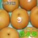 豊水梨　2L〜Ｌ　9〜10玉　約3kg