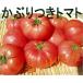 トマト 化学肥料を使用していない  かぶりつきトマト 香川県産　 3個 セット