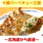 送料無料　PB商品　十勝餃子　25ｇ×30個　2袋　肉の日　スタミナ