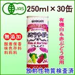 オーガニック・ぶどうサイダー＋レモン　1箱(30缶)／放射能検査済　光食品