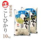 愛知県 白米 こしひかり 10kg 平成25年度