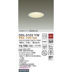 【灯の広場】大光電機照明器具 DDL-5103YW ポーチライト LED