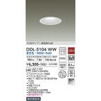 【灯の広場】大光電機照明器具 DDL-5104WW ポーチライト LED