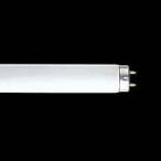 ☆東芝 メロウホワイト 直管スタータ形蛍光ランプ（蛍光灯） ２０形 昼白色 ワットブライター FL20SS・N/18