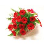 ガーベラレッド赤の 花束 　ブーケ 花束