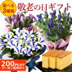 【敬老の日送料無料】鉢植え青orピンクの選べるりんどうと長崎・長寿カステラセット