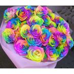 虹色のバラレインボーローズミラクル20本の花束