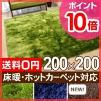 シャギーラグマット 200×200 正方形 芝生