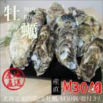 北海道・生牡蠣（かき）（殻付き　生食）牡蠣/牡蛎/Ｍサイズ３０個 /80〜120ｇ前後