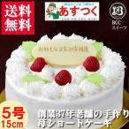 誕生日ケーキ/バースデーケーキ/プレート付/生クリームデコレーションケーキ/５号